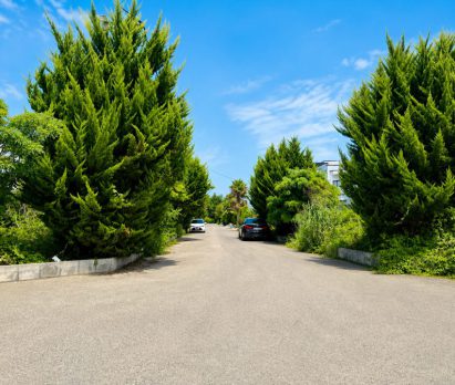 خرید زمین شهرکی شمالی جنوبی در رویان