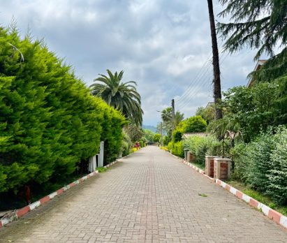 خرید زمین سنددار شهرک برند رویان